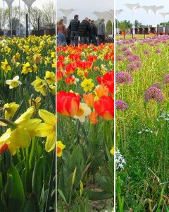 Floriade - 3 phases.jpg